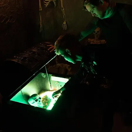 Wildlands Galway بيت خشبي Moycullen