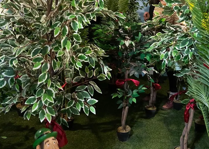 Wildlands Galway Moycullen